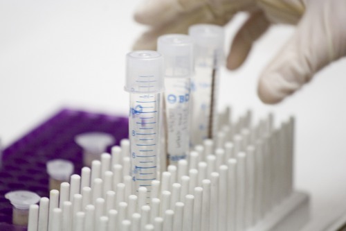 gloved hand grabbing lab test tubes