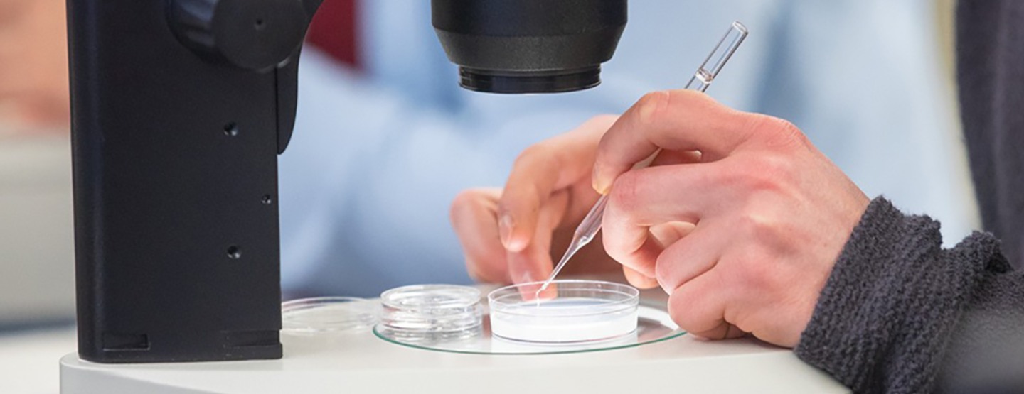 lab worker working under a microscope